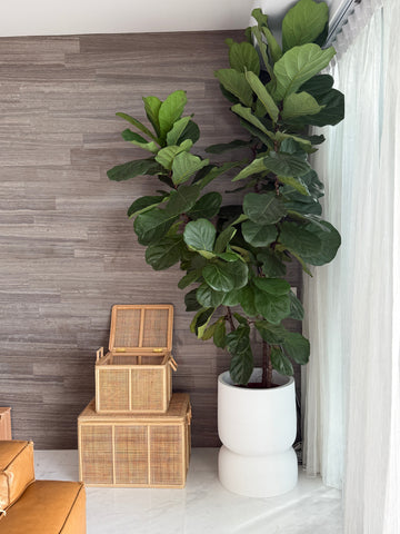 The One Thing Singaporeans Forget When Styling Their Home