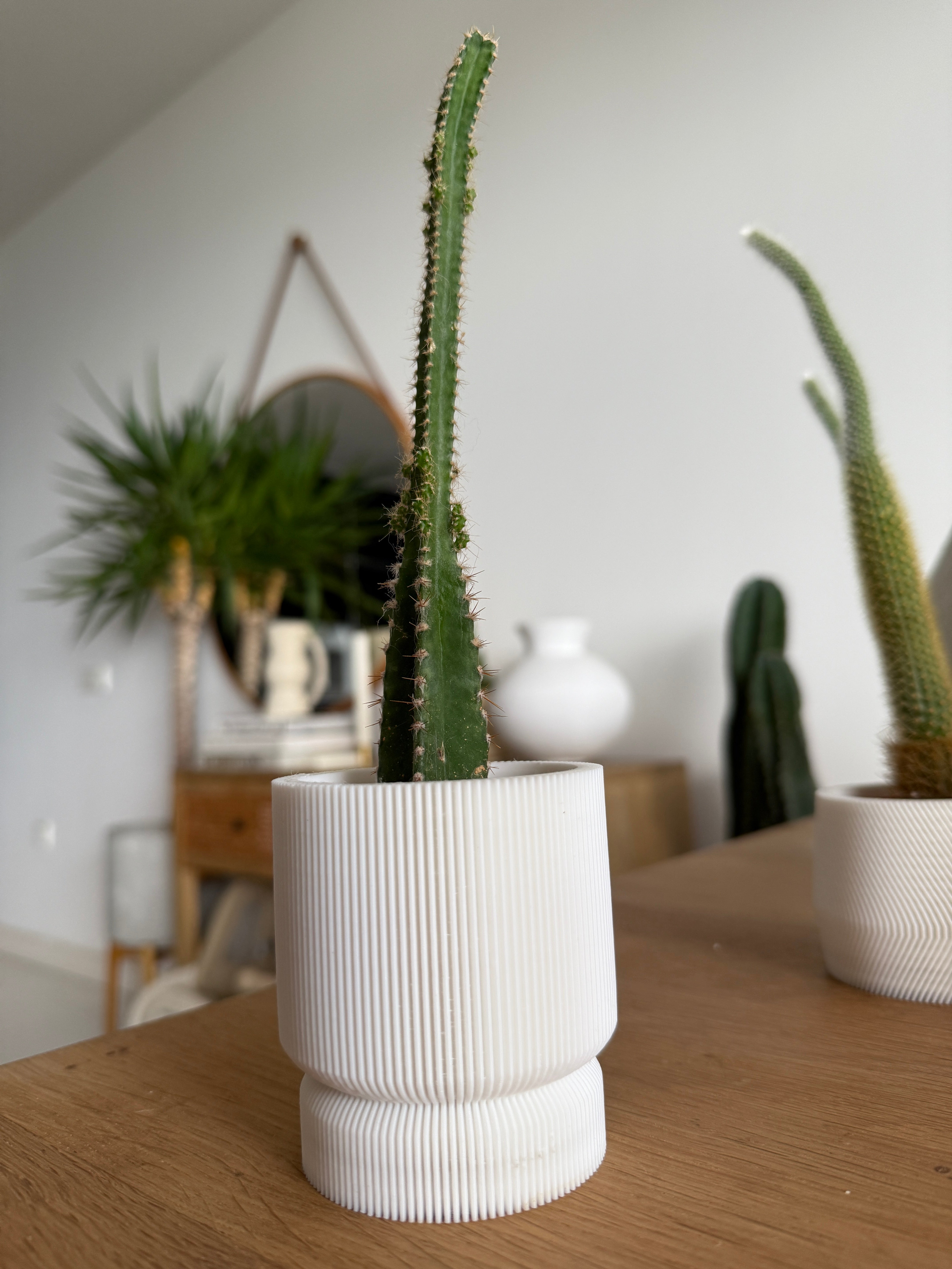 3D plant pot small capparis