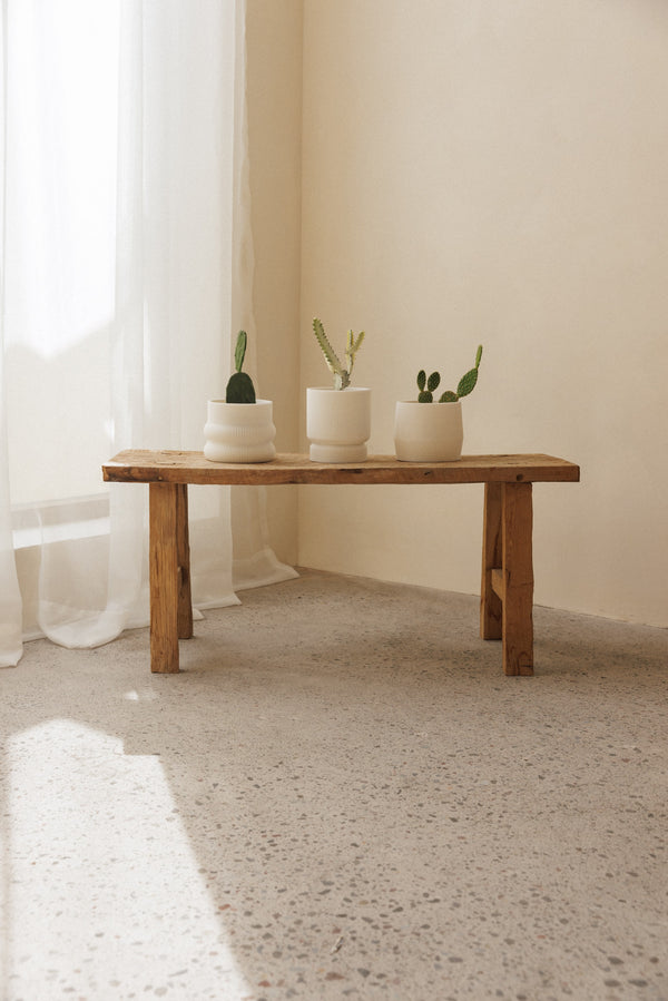3D plant pot small capparis