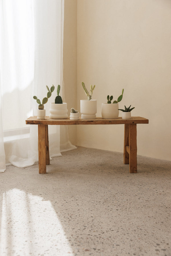 3D plant pot small capparis