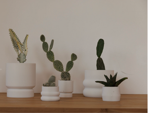 Mastering the Minimalist Look: Less Is More
