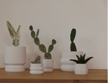 Mastering the Minimalist Look: Less Is More