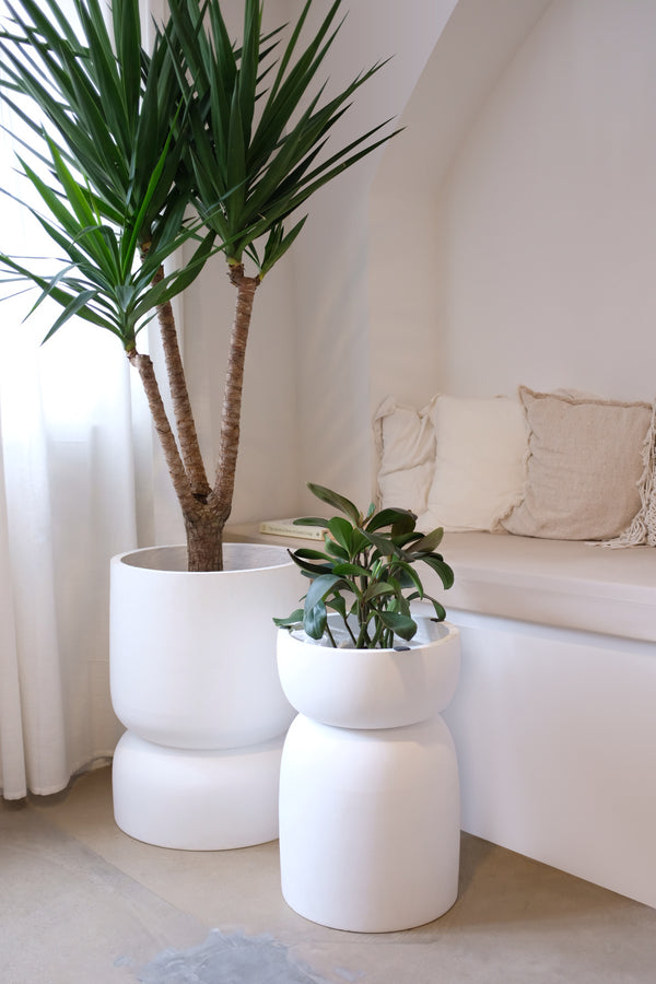 small rug & small floor pot