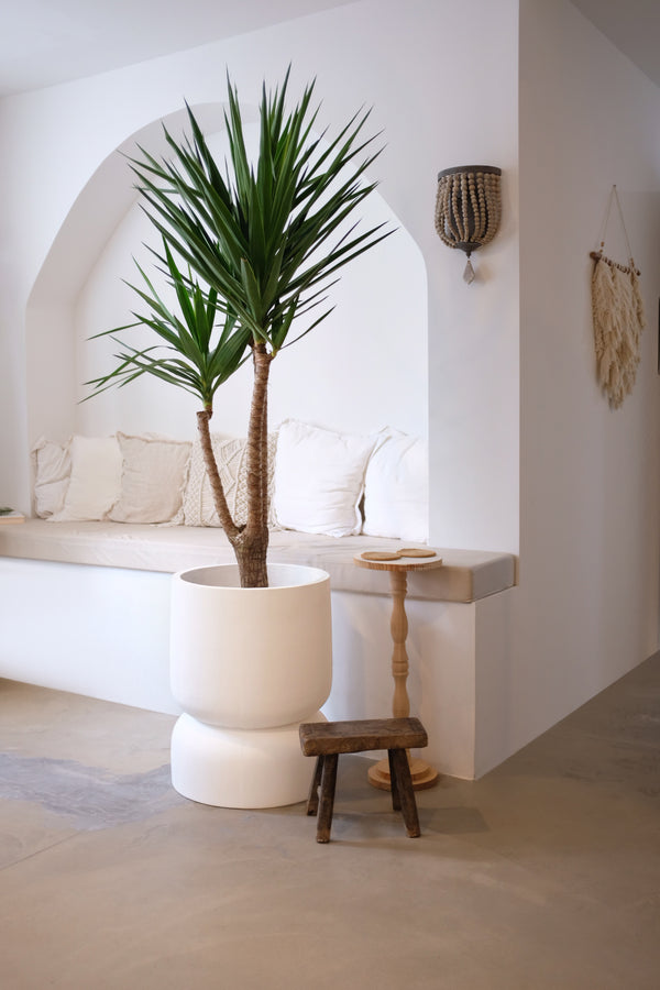 calypso large & small floor pot bundle