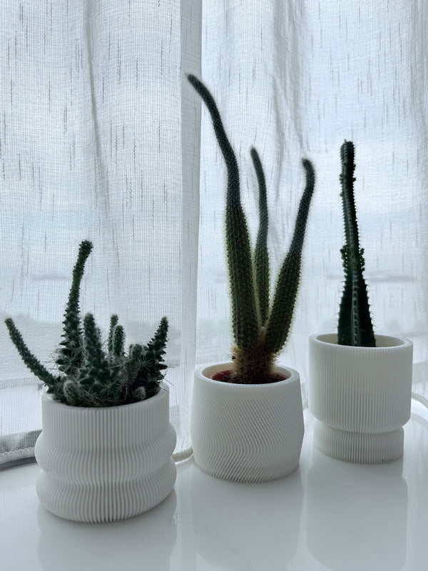 bundle 3D plant pot small