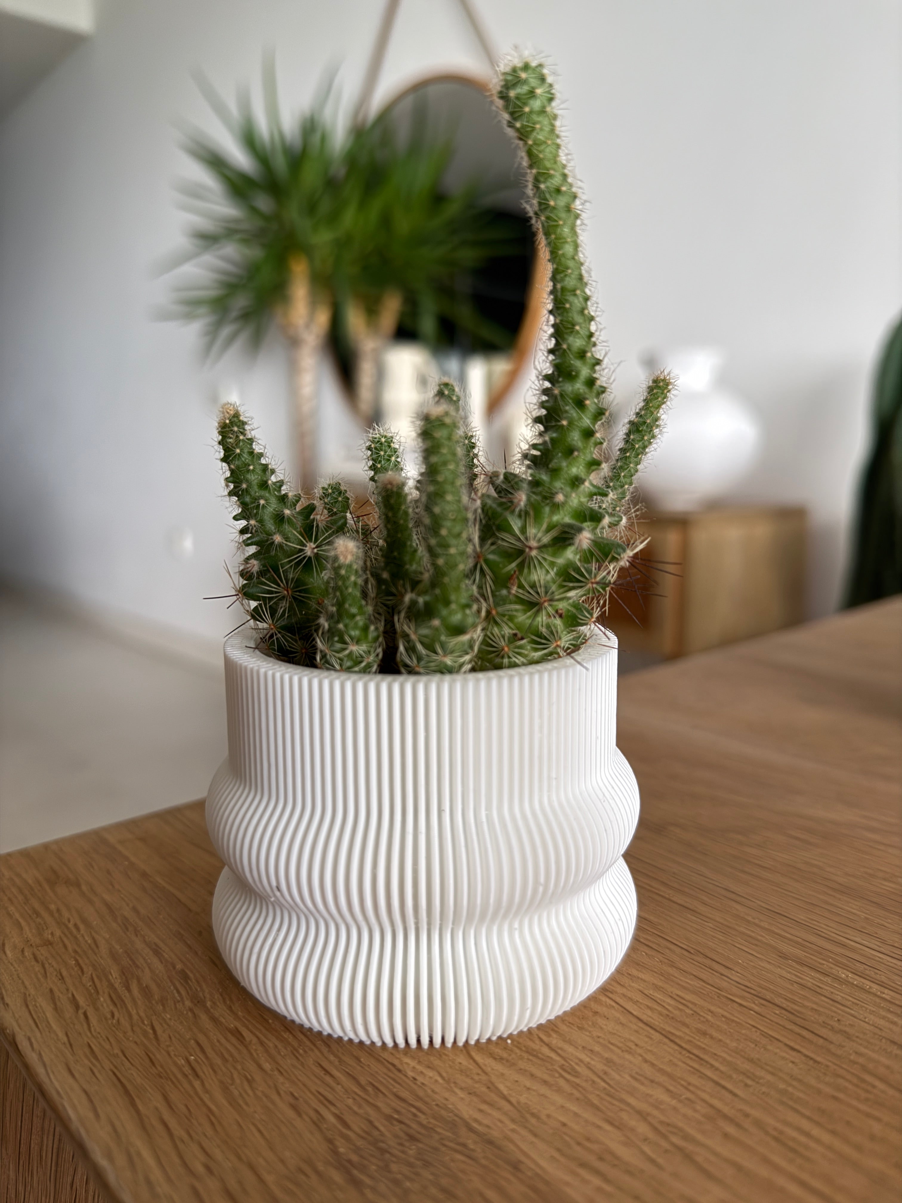 3D plant pot small zilla