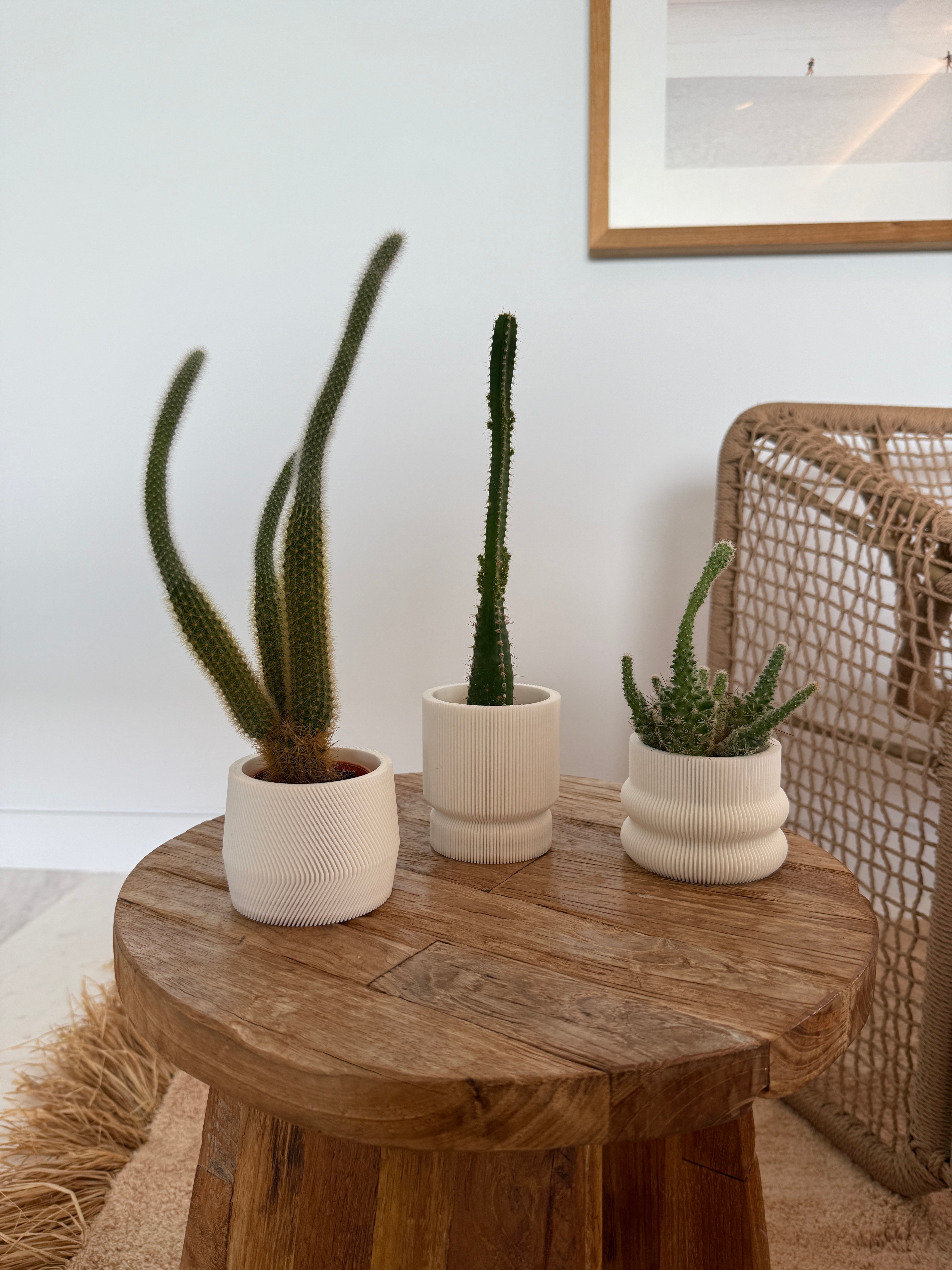 bundle 3D plant pot small