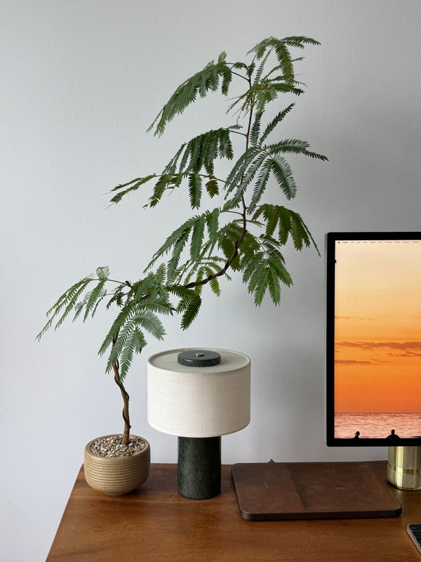 talai verde lamp