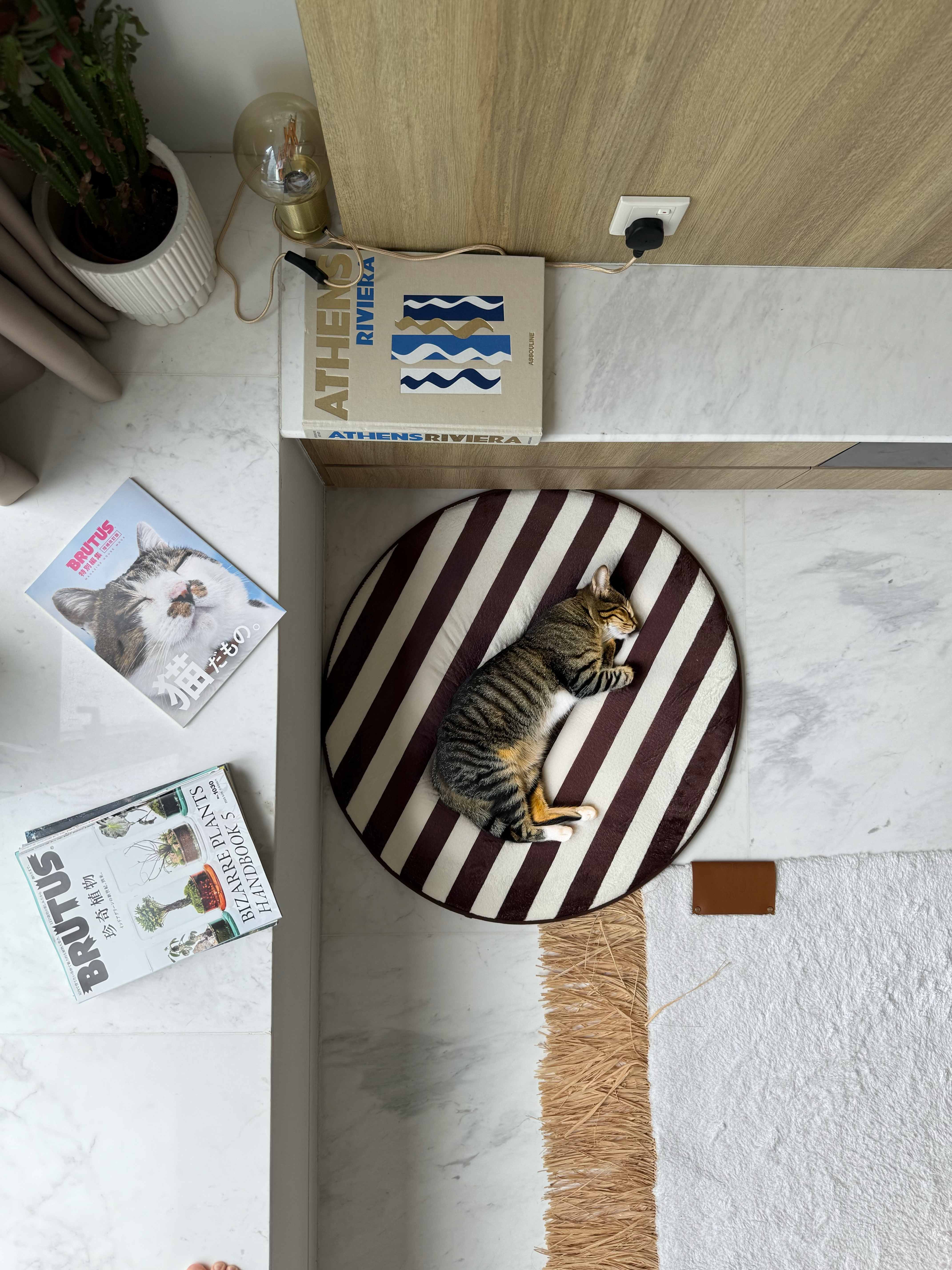 Cacao Slice Round Mini Mat | Baby & Pet-Soft Mat – nomada