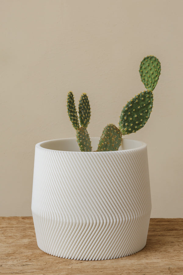 large 3D plant pot bundle