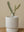 large 3D plant pot bundle