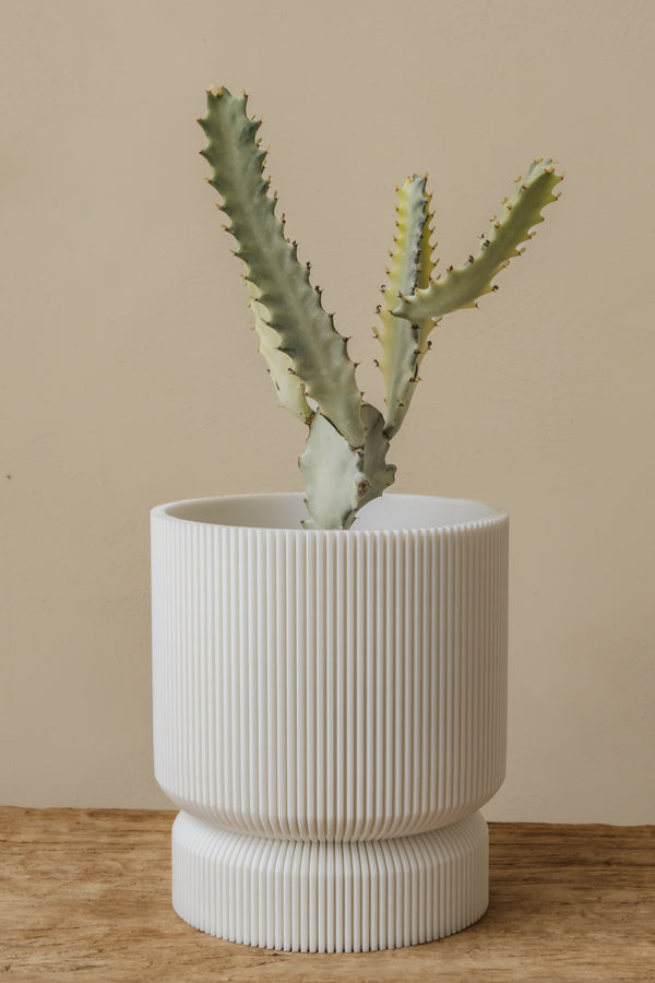 large 3D plant pot bundle