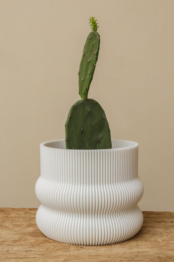 3d plant pot large 3D plant pot bundle – nomada