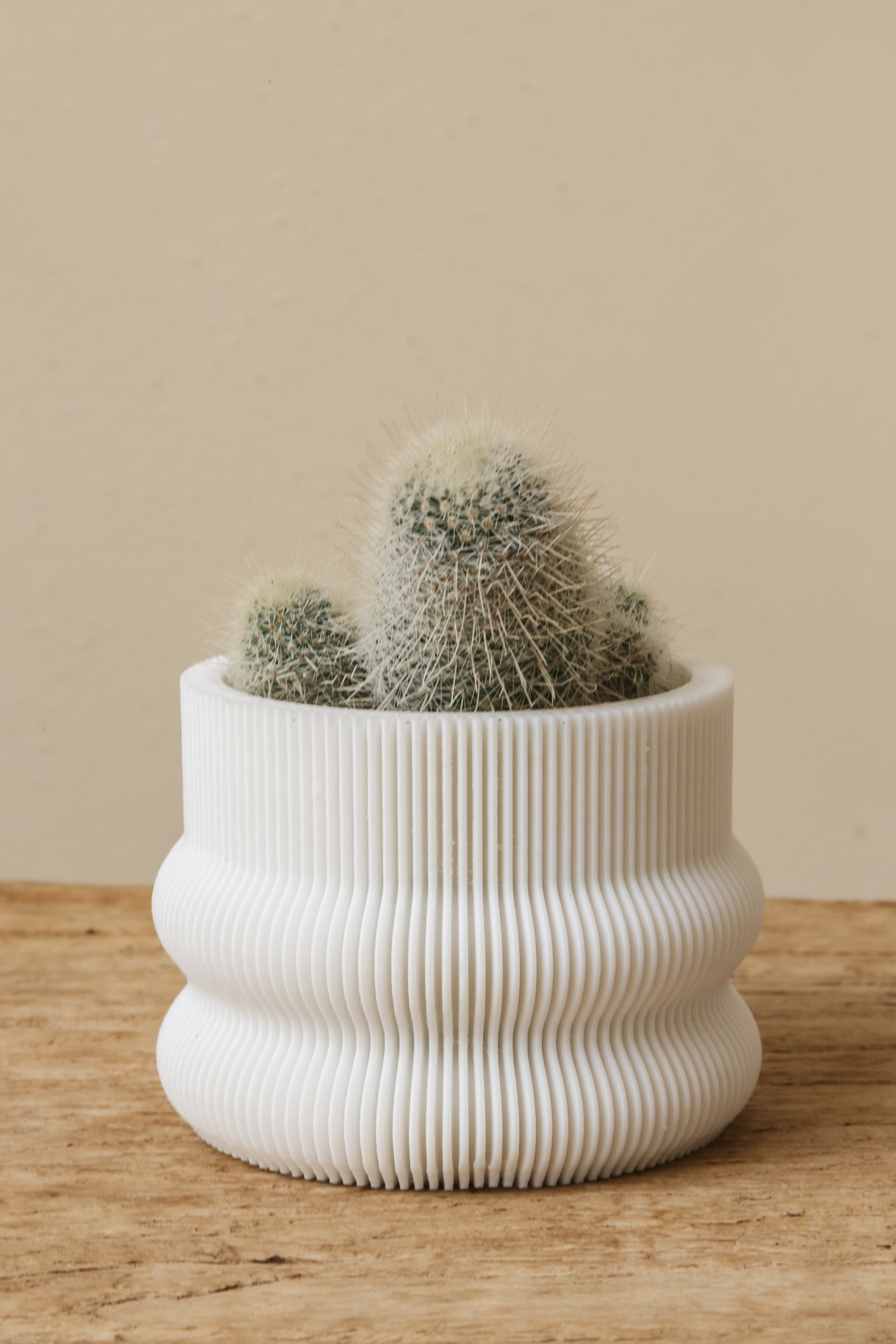 3D printed small pot bundle x 3