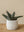 3D plant pot small sirocco