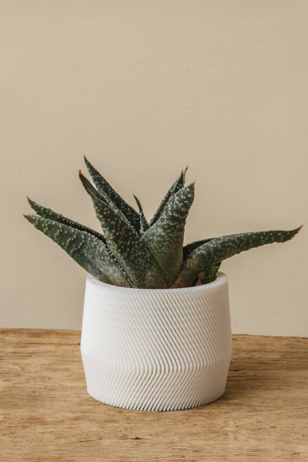 3D plant pot small sirocco