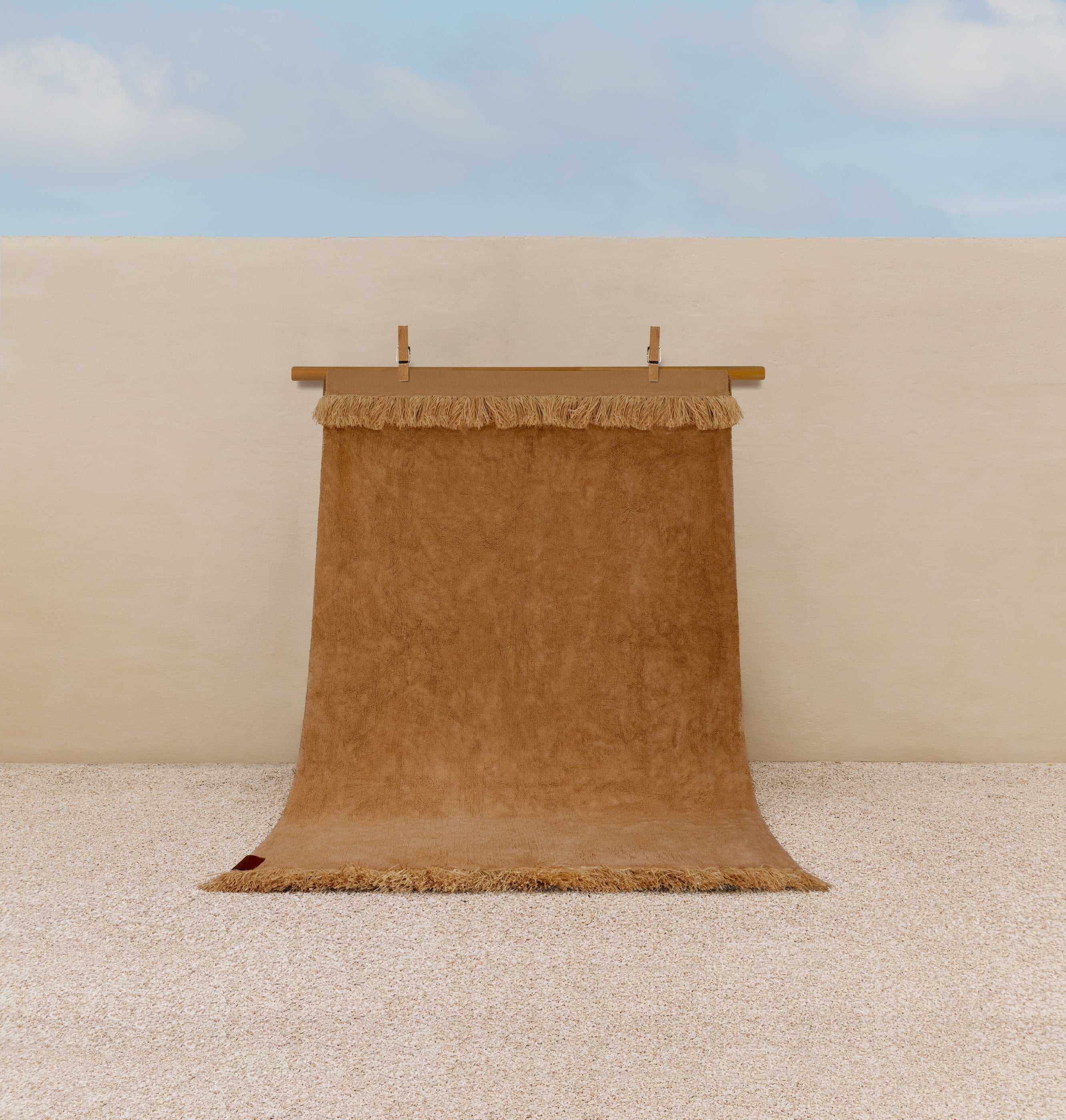 large rug + small floor pot