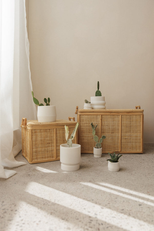 Home decor cactus plant pots with stylish modern design, perfect for enhancing indoor spaces.