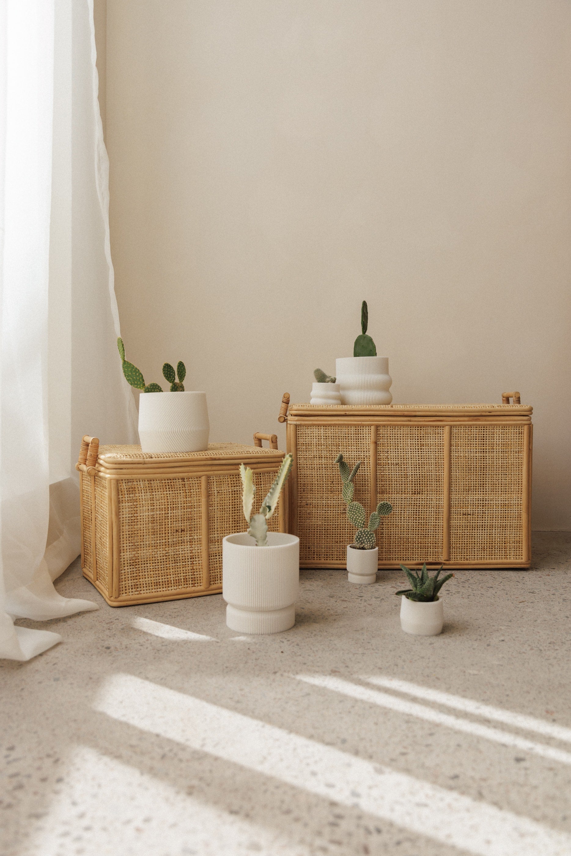 large 3D plant pot bundle
