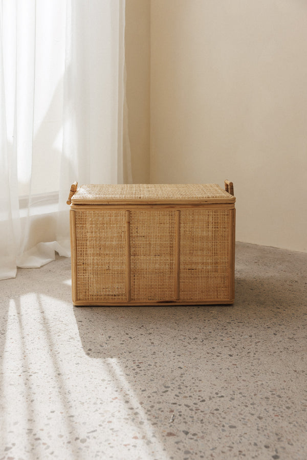 addax large & small rattan storage box bundle