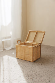 small rattan storage box addax