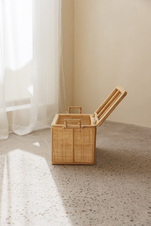 small rattan storage box addax