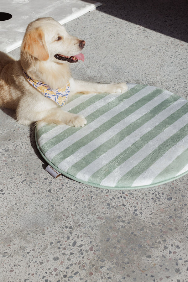 playmat mini mint slice
