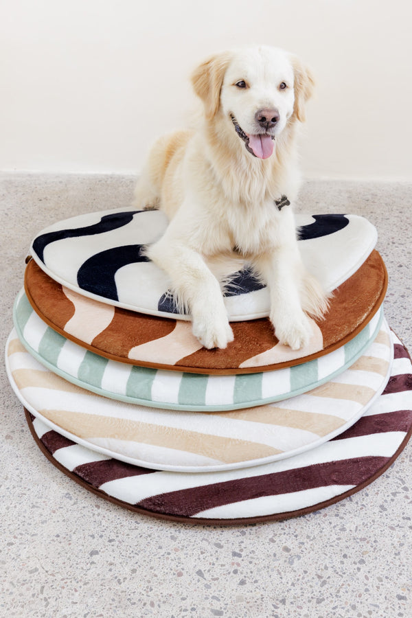playmat mini sorbet slice