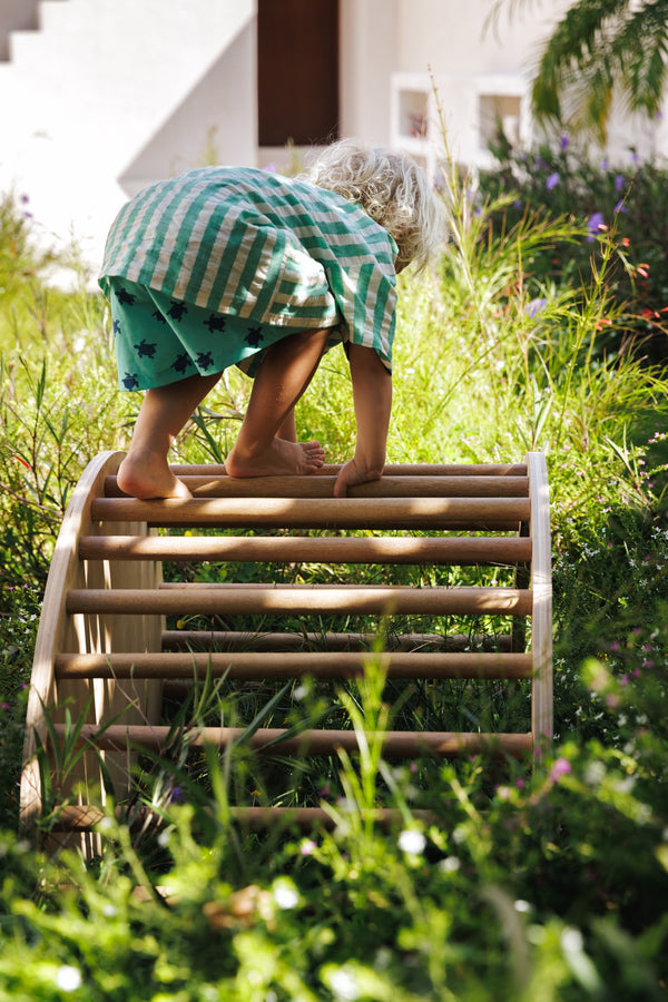 solana birch multi-play