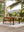 tropical rug large tenerebone