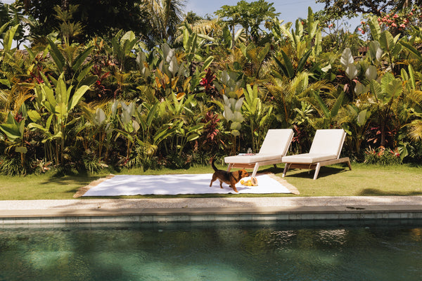 tropical rug large tenerebone