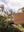 tropical rug large halosepia