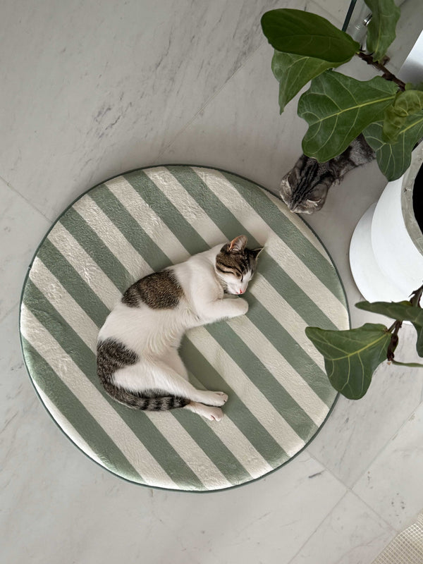 playmat mini mint slice