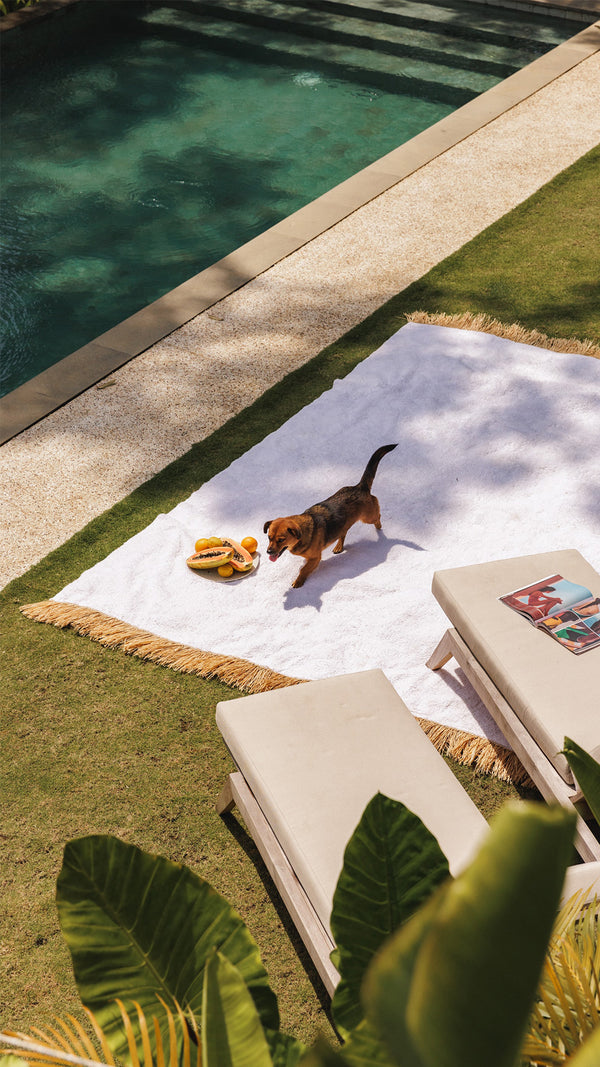 large rug + large floor pot